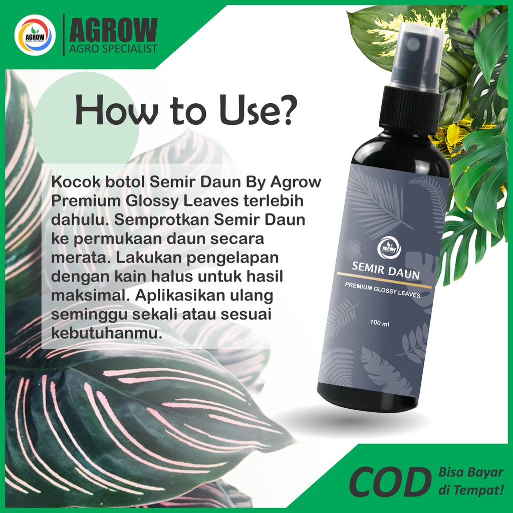 Semir Pengkilap Daun Tanaman Hias Leaf Shine Aglonema Monstera Calathea Keladi Puring 100 ml