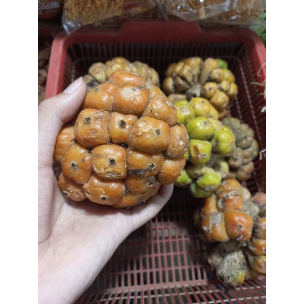 

Asam Cikala/Sihala