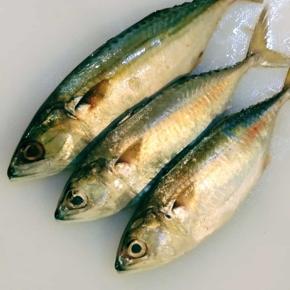 

Ikan kembung cowo 1Kg