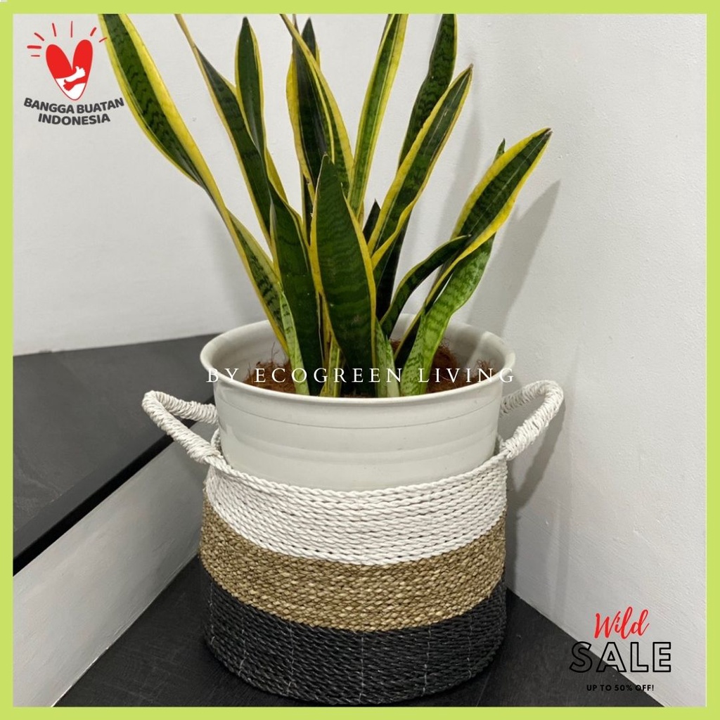 KERANJANG SEAGRASS SATUAN / COVER POT SEAGRASS DIAMETER 30CM