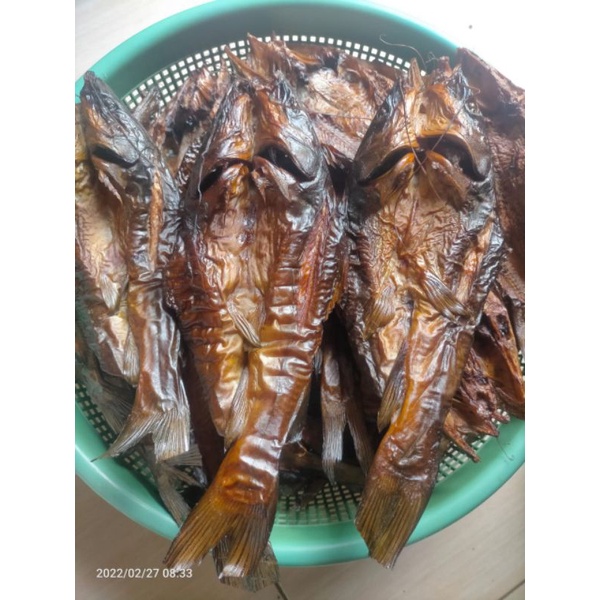 

salai baung sungai musi