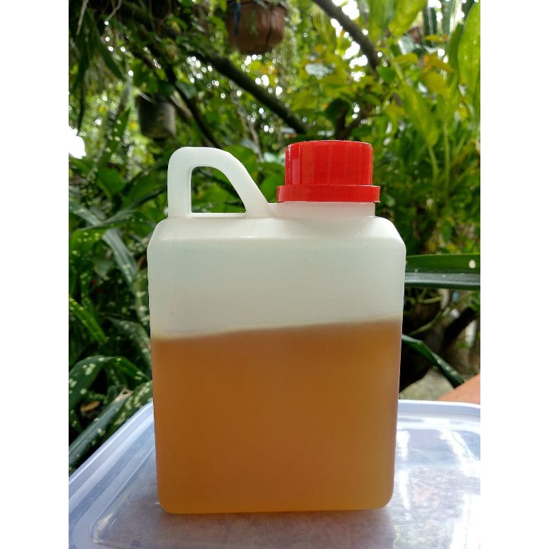 

Madu Asli