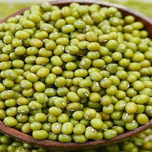 

KACANG HIJAU ORGANIK 1 KG