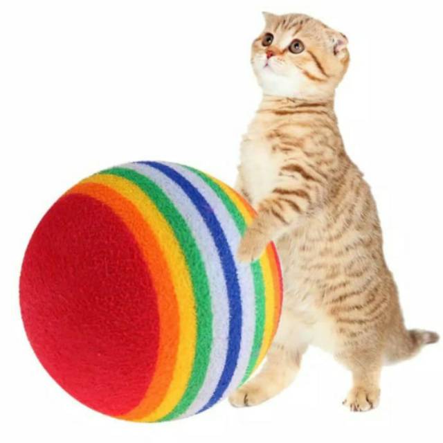 Mainan Kucing &quot;BOLA RAINBOW&quot; Cat Kitten Toys