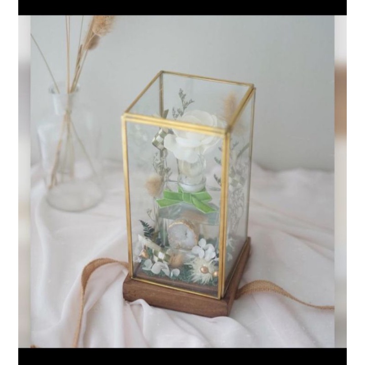 Glassbox Terarium S4 alas kayu | mahar terarium | terarium box | rustic display box