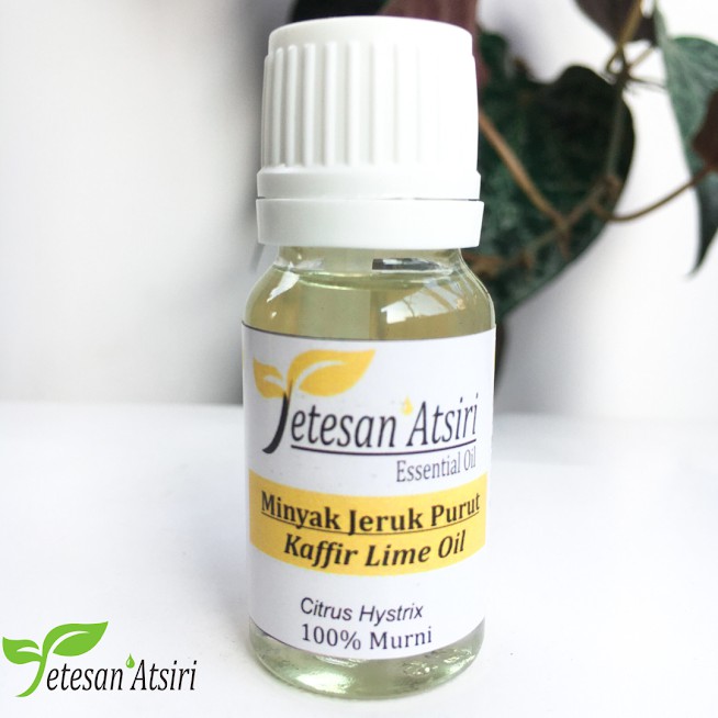 10ml minyak atsiri jeruk purut murni 100% kaffir lime pure essential oil 100% aromatherapy diffuser