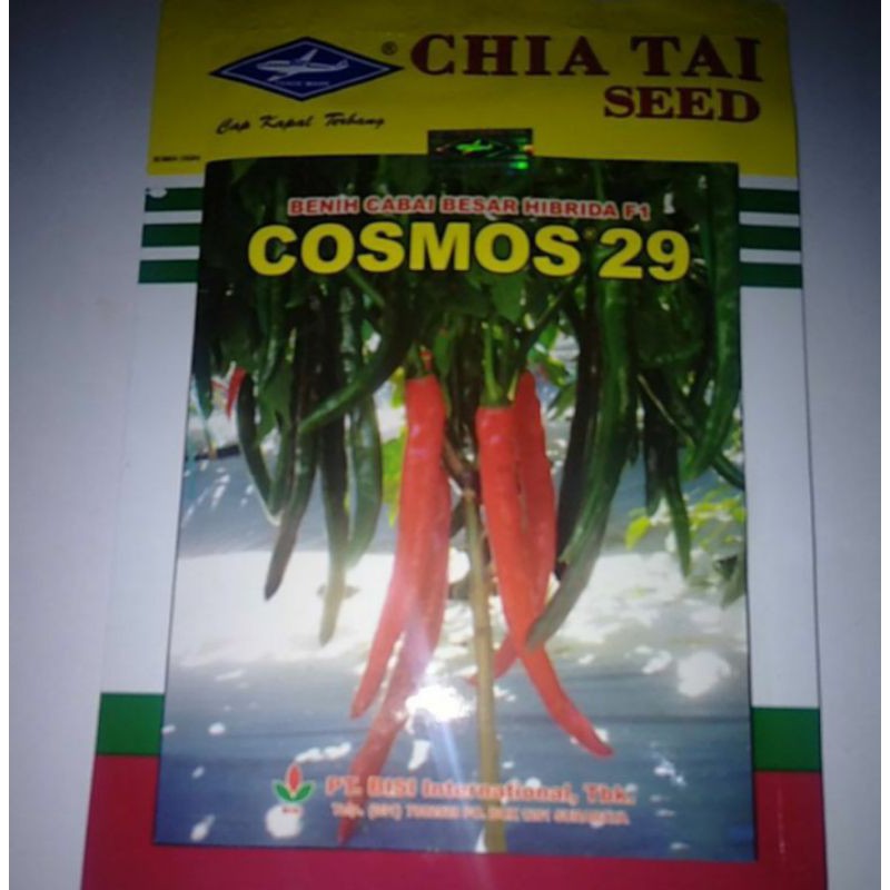 Benih cabe besar hibrida F1 COSMOS