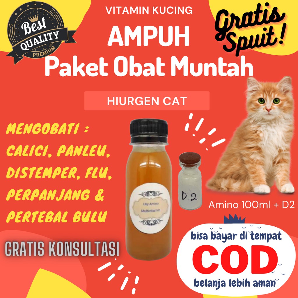 Obat Kucing Muntah Obat Muntah Kucing Vitamin Kucing Obat Kucing 