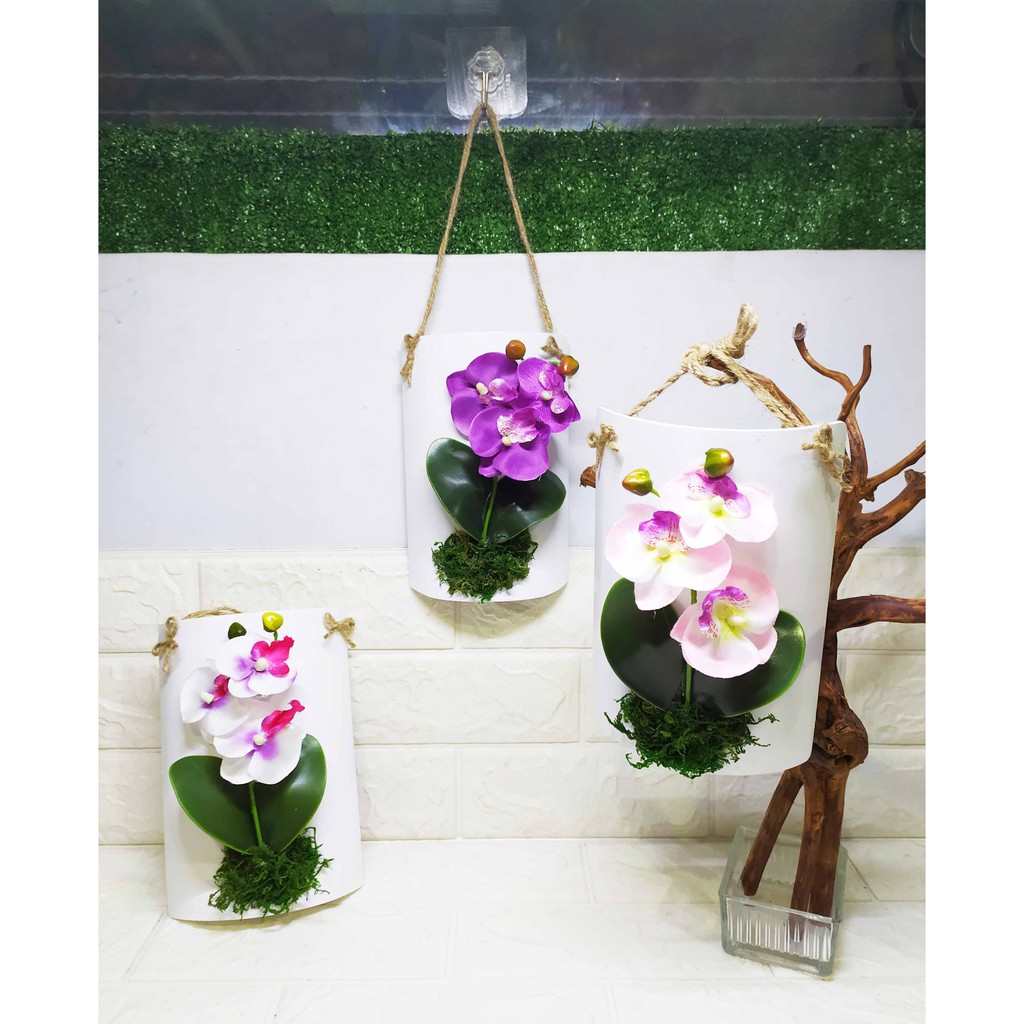 Hanging Orchid - Pajangan Anggrek Gantung Hiasan Dinding