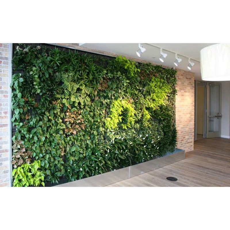 Taman Vertikal sintetis | Vertikal garden