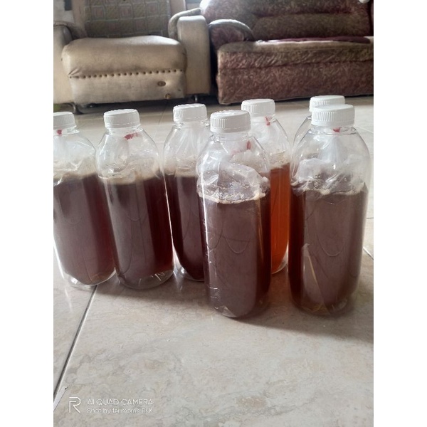 

madu pahit hutan liar