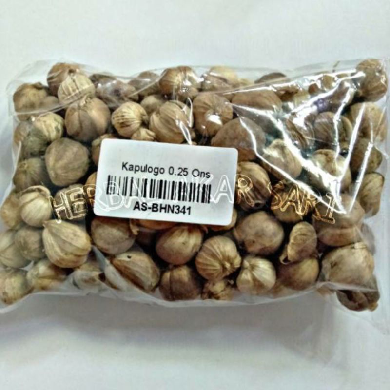 

Akar Sari - Kapulaga Jawa 25 Gram - Menyehatkan Paru-paru
