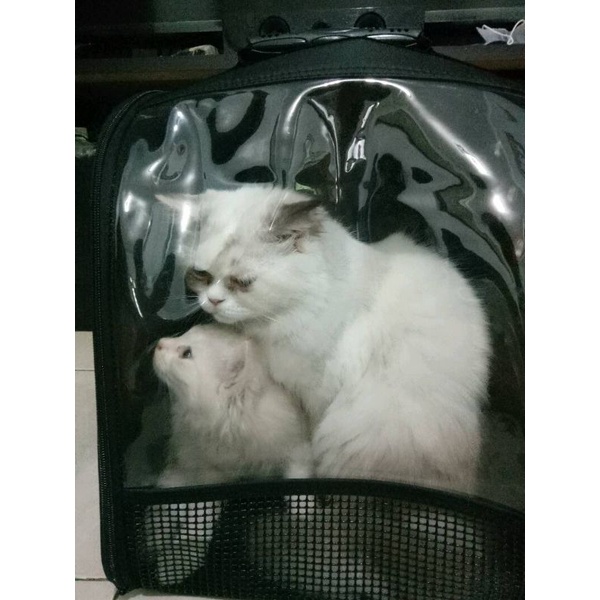 Tas kucing pet cargo transparan astronot ransel gendong tas hewan 3 in 1 tas anjing musang reptil 2 in 1 anti cakar waterproof anti air