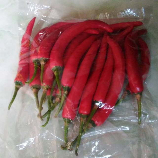 

Cabai merah besar