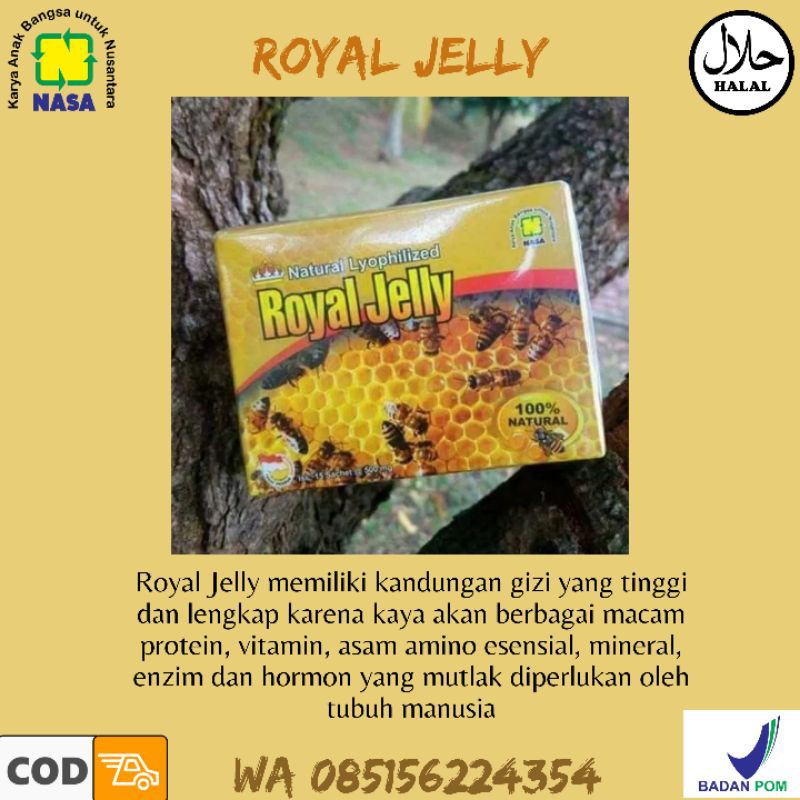 

Royal Jelly Menjaga Kesehatan Tubuh