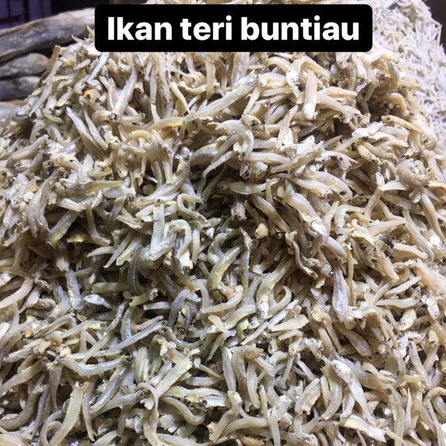 

IKAN TERI BUNTIAU