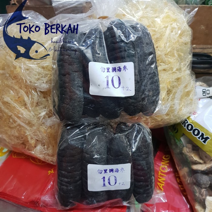 

Kkeanashop Haisom Lintah Laut Asli Belitung Isi 12 Per 1 Kg