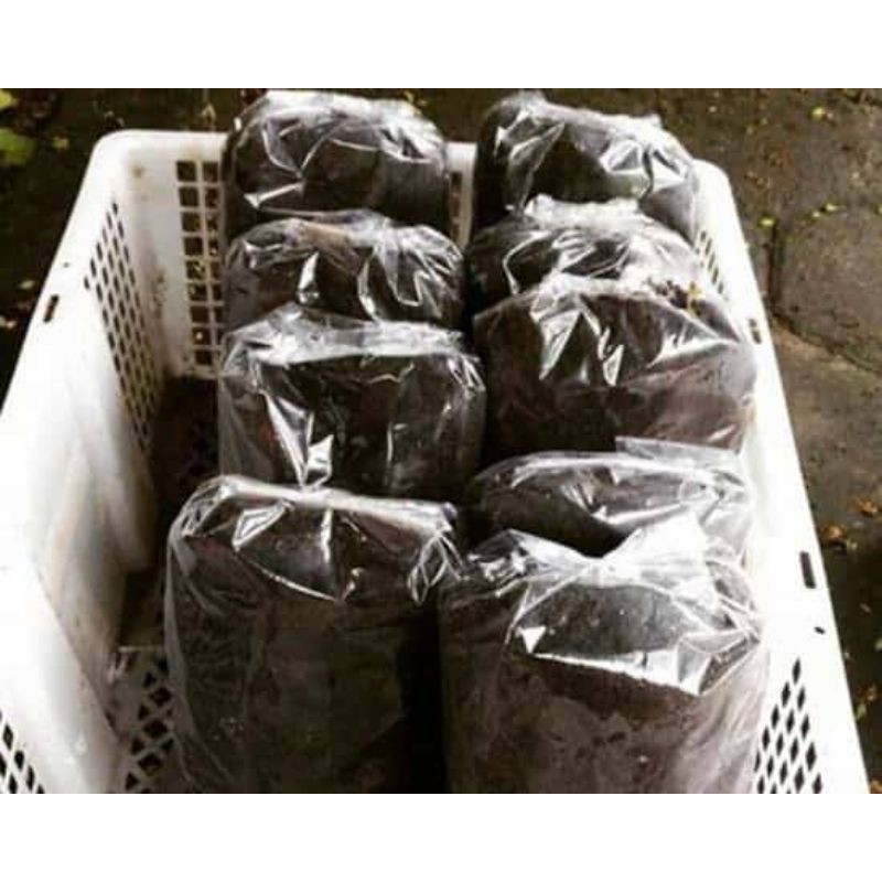 media tanaman fermentasi