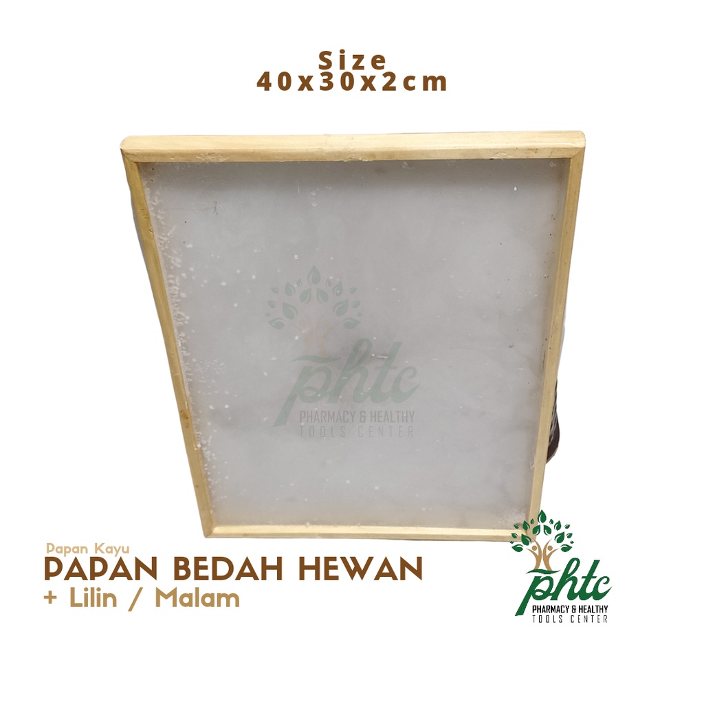 Papan Bedah Dengan Lilin l Tempat Bedah Hewan Untuk Praktikum 40x30cm Ketebalan 2cm