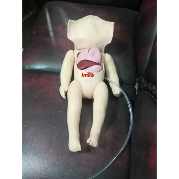 Phantom CPR Bayi