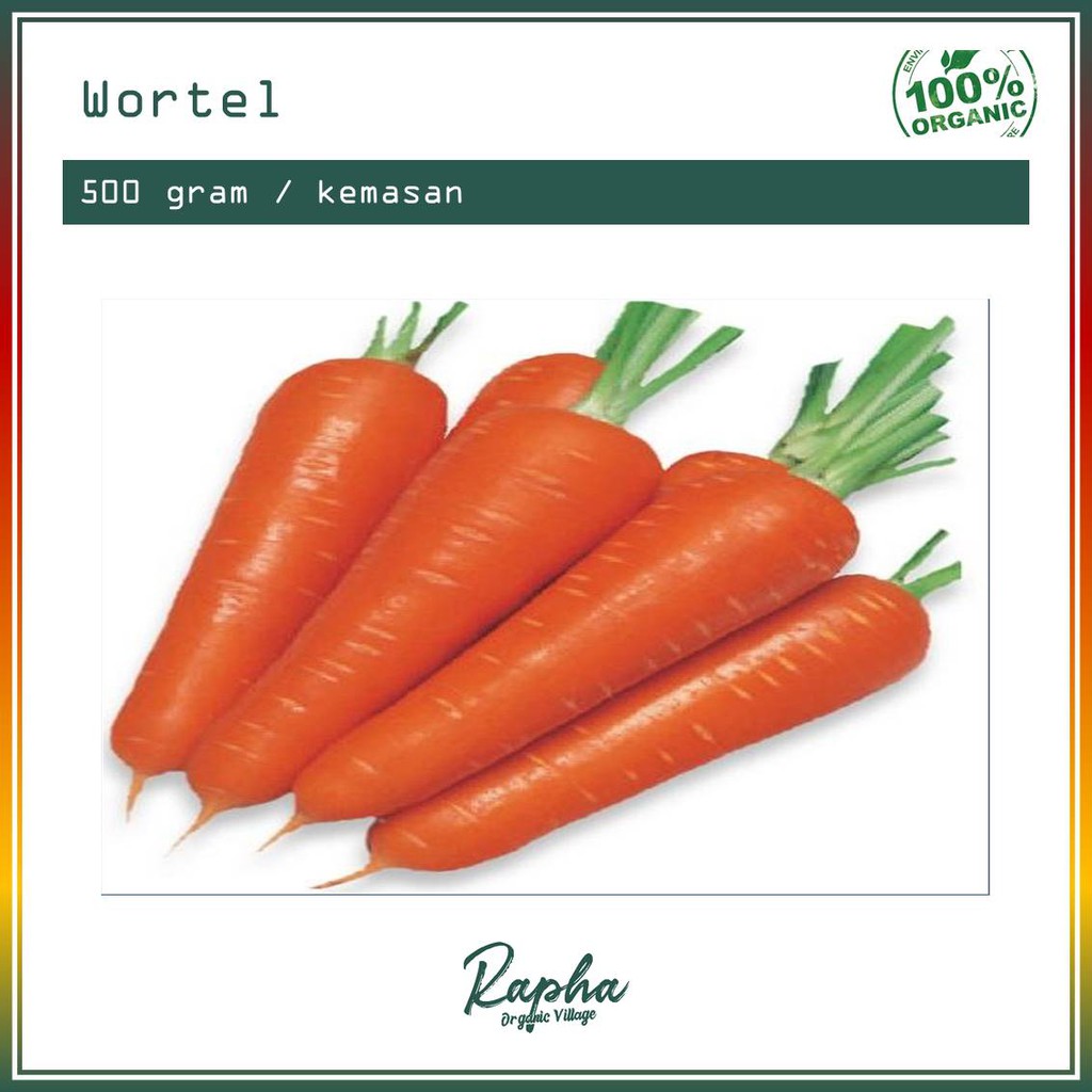 

Wortel Organik