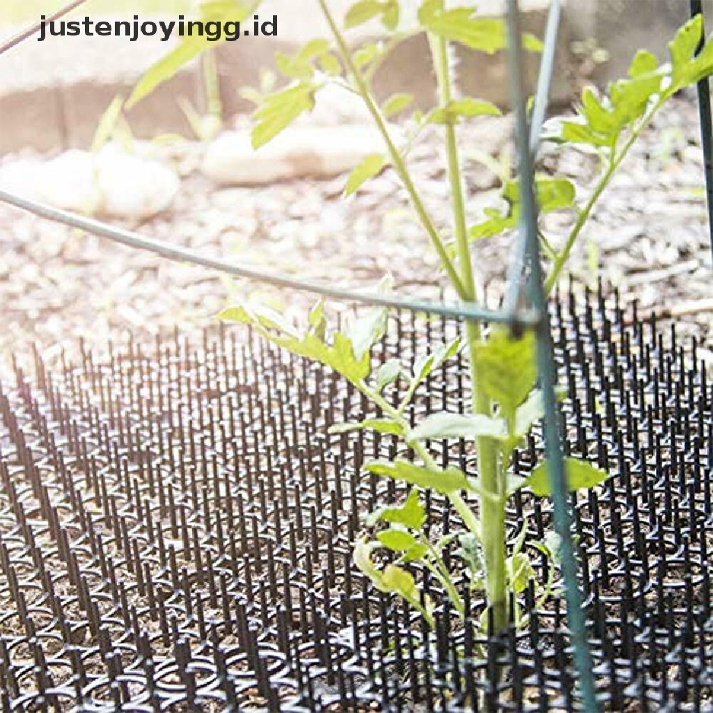 Paku Penggalian Kucing Portabel Untuk Taman