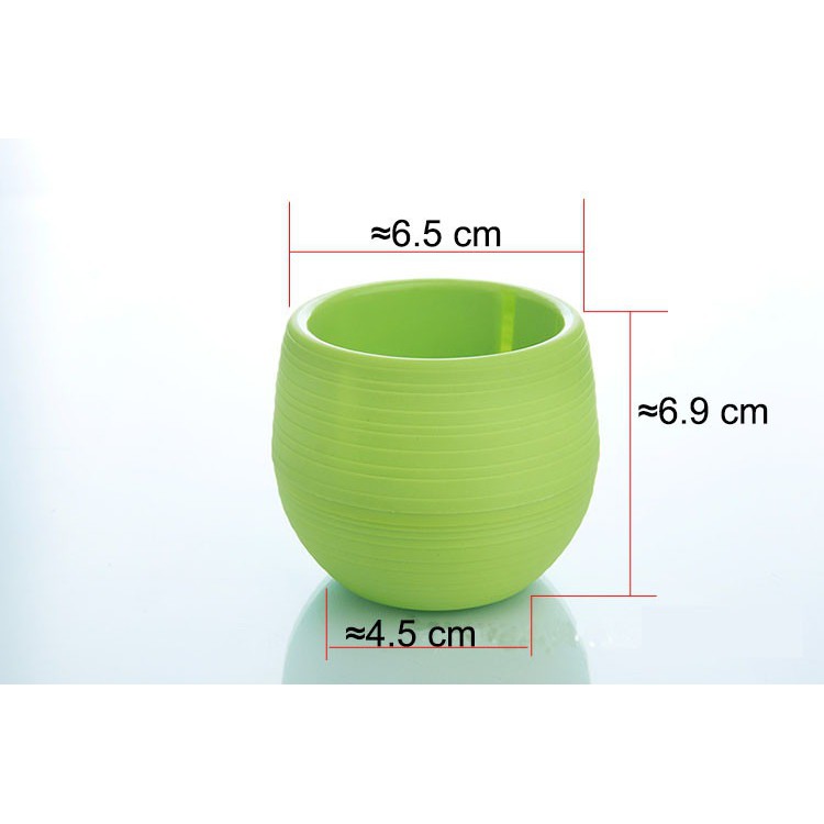 Mini Pot Bunga Hias Kaktus Tanaman - 5 PCS - Multi-Color