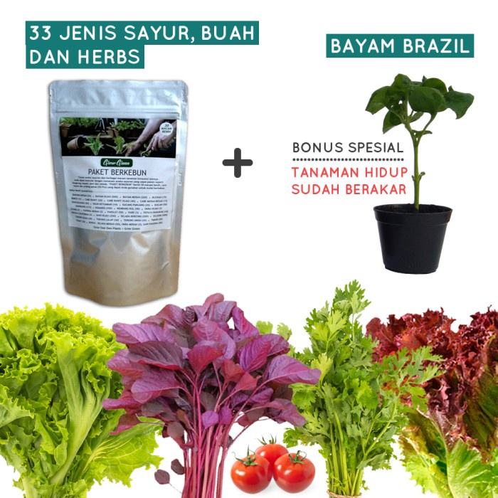 NEW Bibit Benih Sayuran Paket 30 Jenis Tanaman - BEST DEAL