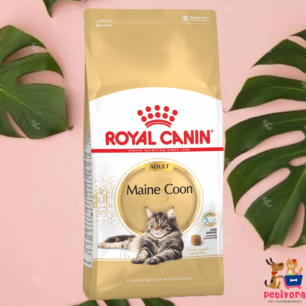 Royal Canin Maine Coon Adult 4Kg