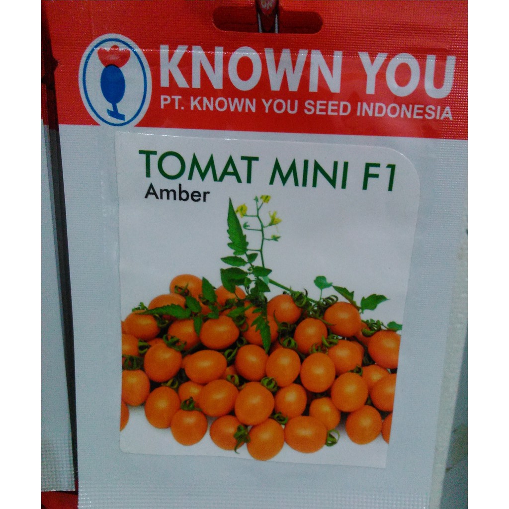 BENIH TOMAT MINI F1 AMBER - KNOW YOU SEED