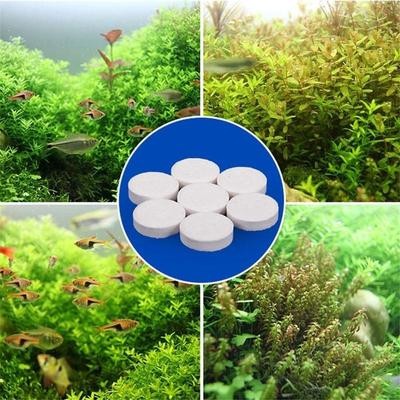 ECERAN TABLET CO2 aquascape aquarium