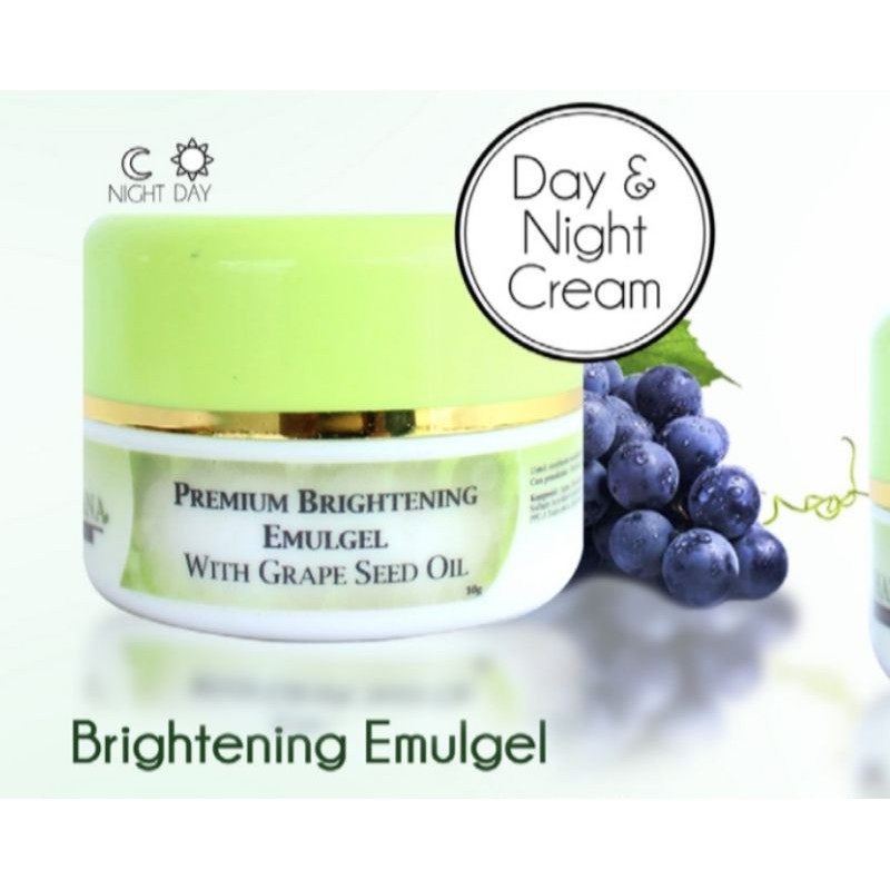 dr ferihana Day Cream Premium Brightening Emulgel - KSH dr Ferihana Skincare