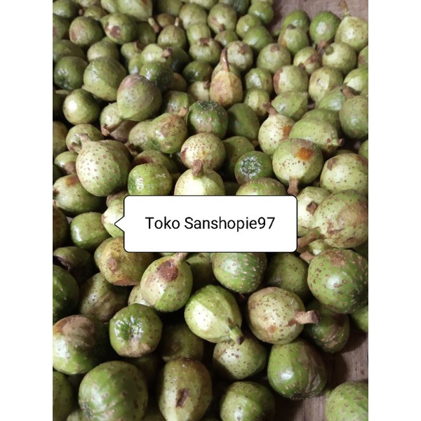 

Buah awar awar atau buah kuciat segar 500 gram
