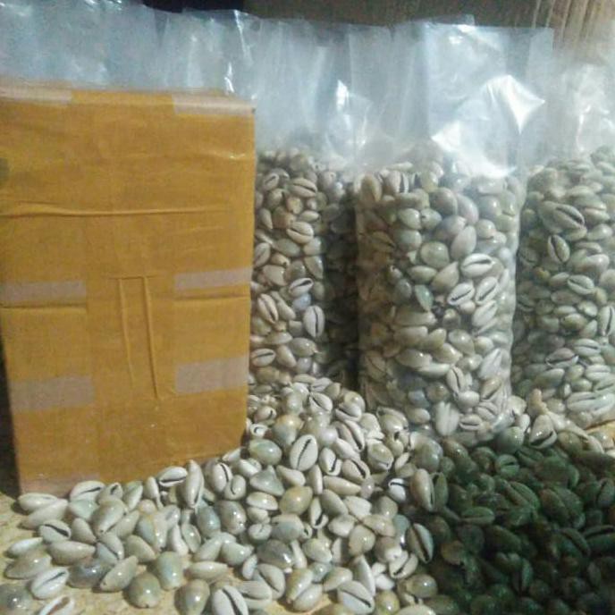 

Biji Congklak atau Kuwuk 1 kg
