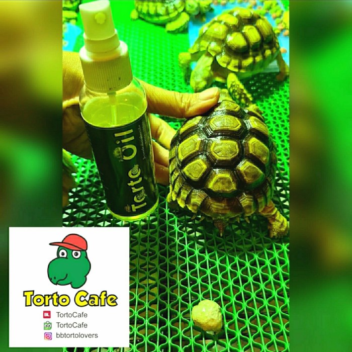 

Torto Oil dgn formula dr Amerika khusus kura2 darat. Isi: 100 ml.