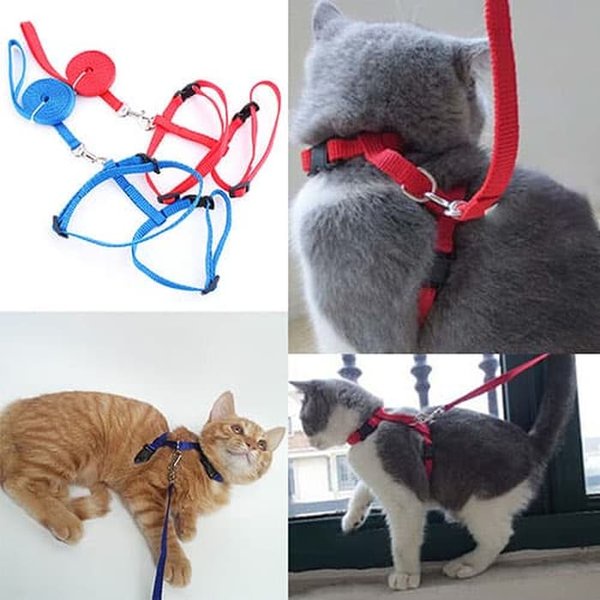 Cat Harness - Tali Tuntun Kucing/Anjing Kecil - Dog Cat Leash Stripe