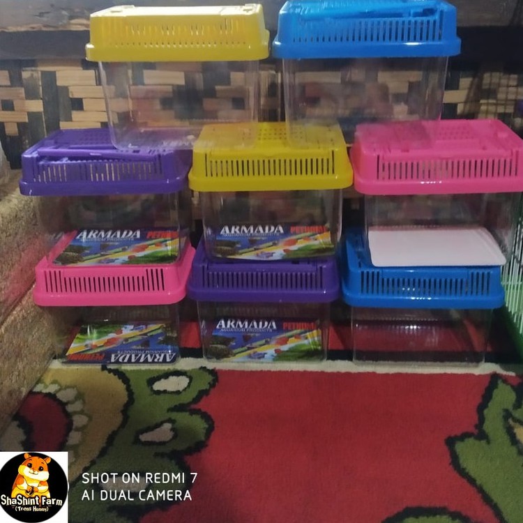 Jual KANDANG HAMSTER TERRARIUM | Shopee Indonesia