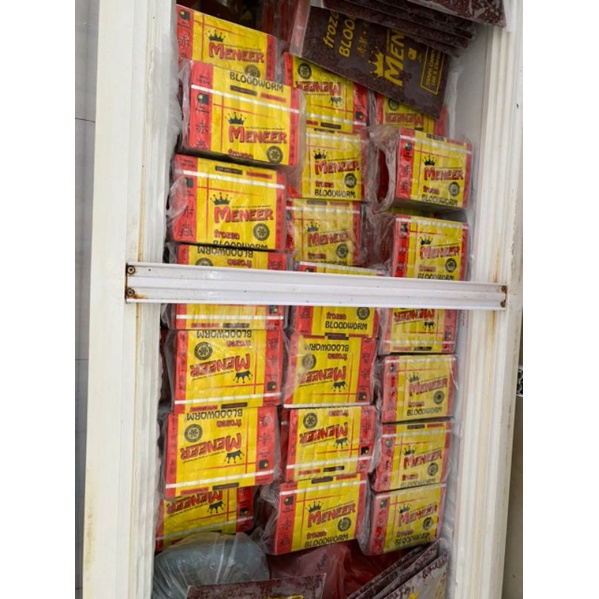 CACING BEKU FROZEN BLOODWORM MEREK MENEER ANGTANG MEDAN