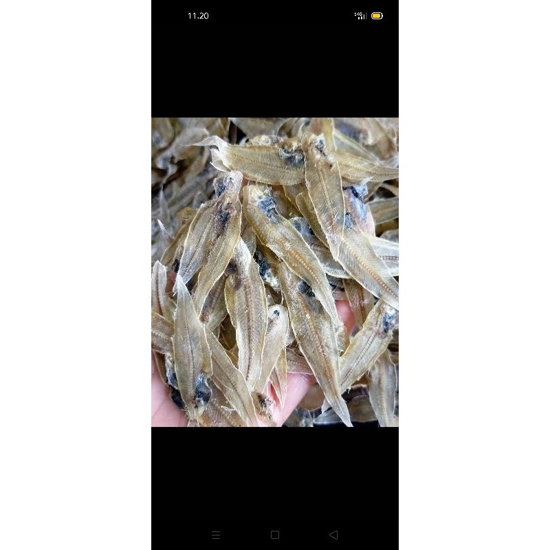 

ikan asin lidah kecil