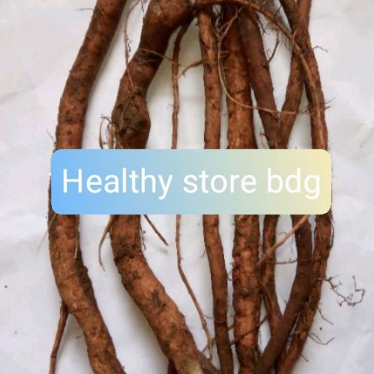

Akar putri malu segar paket 250 gram