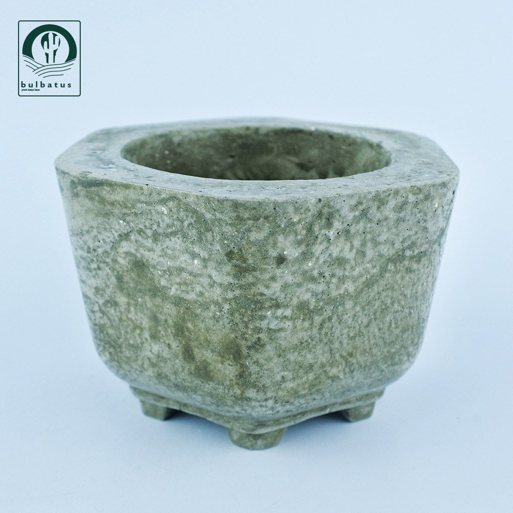 Pot Semen Carapa Natural