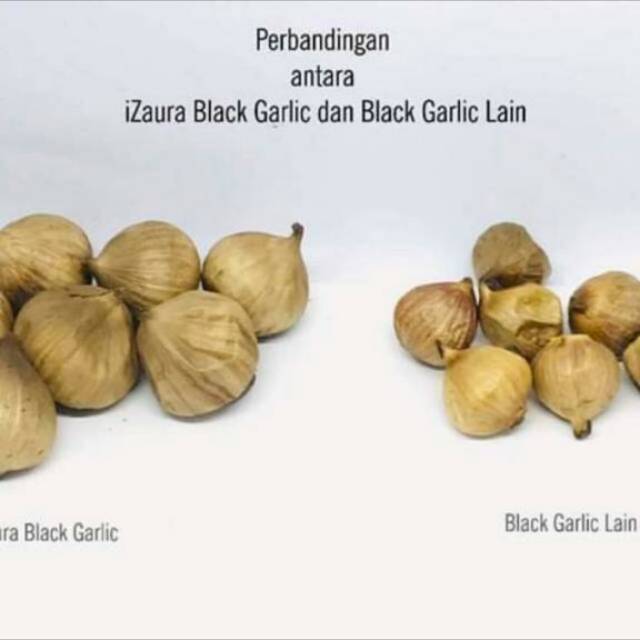 Black garlic izaura