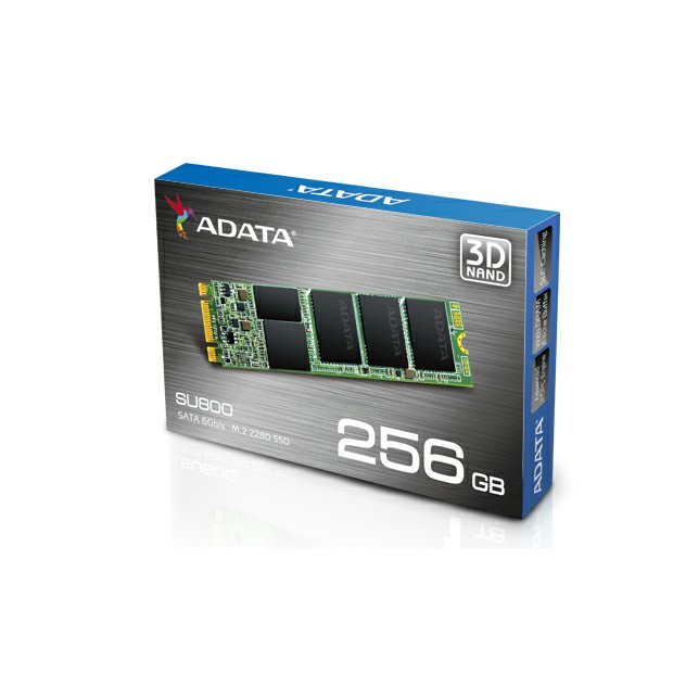 SSD Adata M2 SU800 256GB