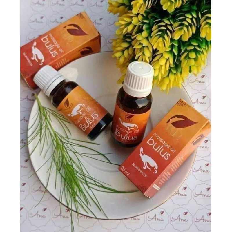 MESSAGE OIL BULUS minyak urut berkhasiat