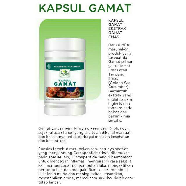Gamat Kapsul Hpai Ekstrak Gamat Emas Golden Sea Cucumber Indonesia