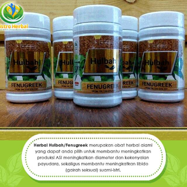 Hulbah Fenugreek Pelancar Asi