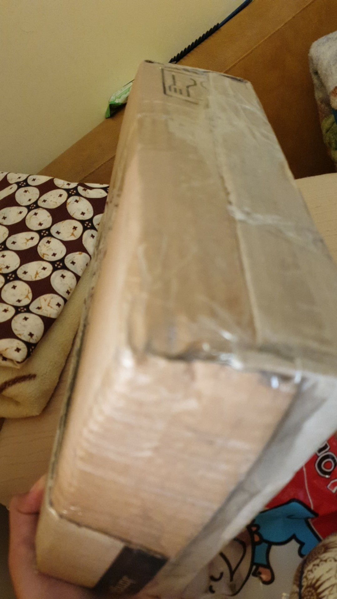 Kotak Tidy Mesh Large - Claris 0558