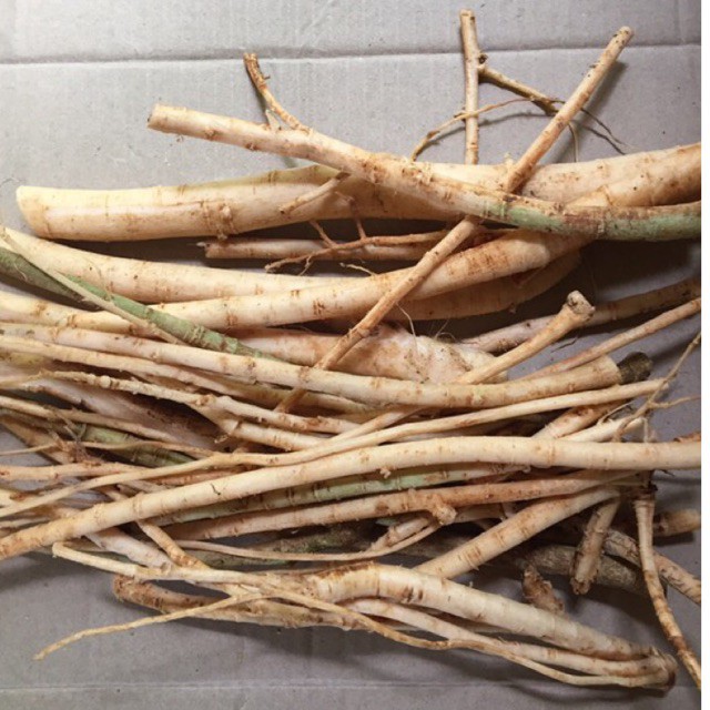 

akar pohon prpaya segar 1kg