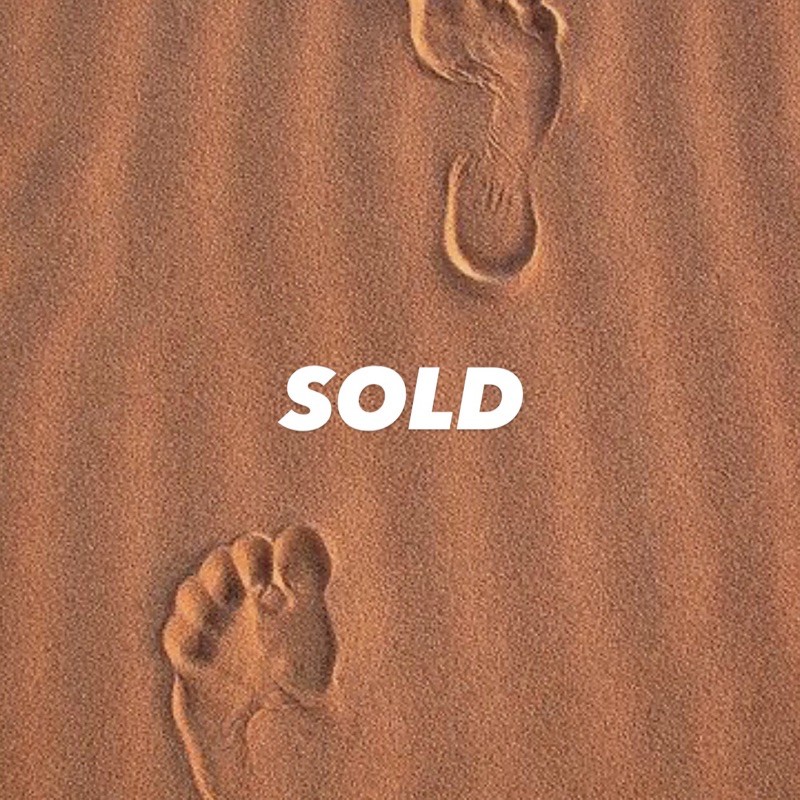 Sneakers - Pijak Bumi x Kevinswork