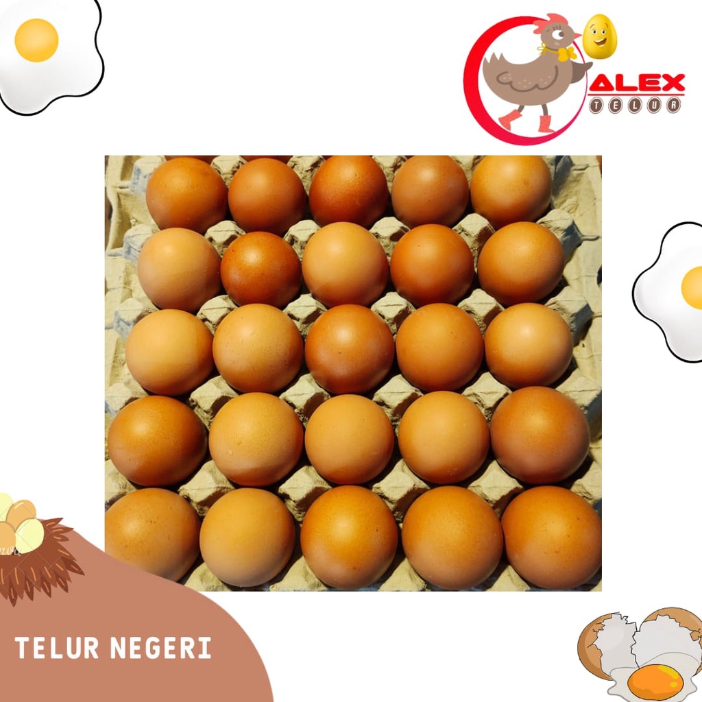 

Telur Ayam Negeri Besar 30 butir